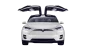 TESLA X